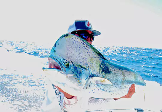 cancun sportfishing - trolling