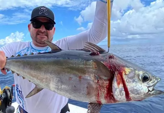 Tuna- sportfishing cancun